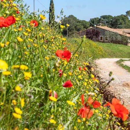 Cal Parent Casa Rural En El Pla De Lestany