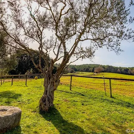 Cal Parent Casa Rural En El Pla De Lestany Ollers